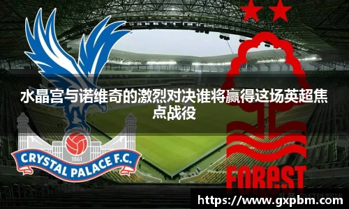 水晶宫与诺维奇的激烈对决谁将赢得这场英超焦点战役